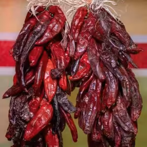 two one foot Hatch chile ristras in front of decorative wall