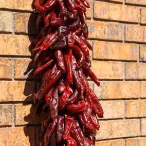 a two foot Hatch red chile ristra hanging in front of a brick house in Las Cruces New Mexico