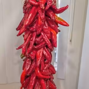 2 Ft Hatch Red Chile Ristra