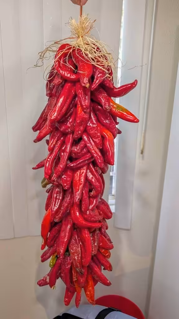 2 Ft Hatch Red Chile Ristra