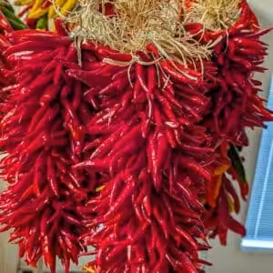 1 ft Pequin Chile Ristra