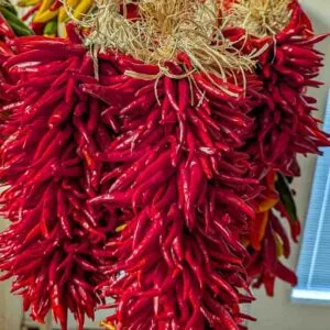 1 ft Pequin Chile Ristra